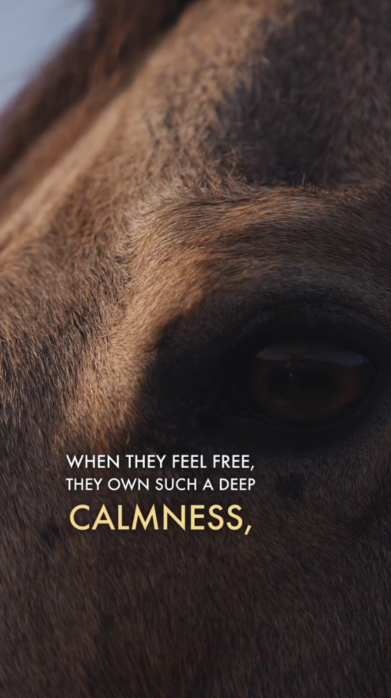 Schermafbeelding 2026-03-26 124345